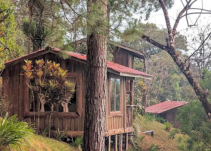 Hotel Campos De Oro Wilderness 3*